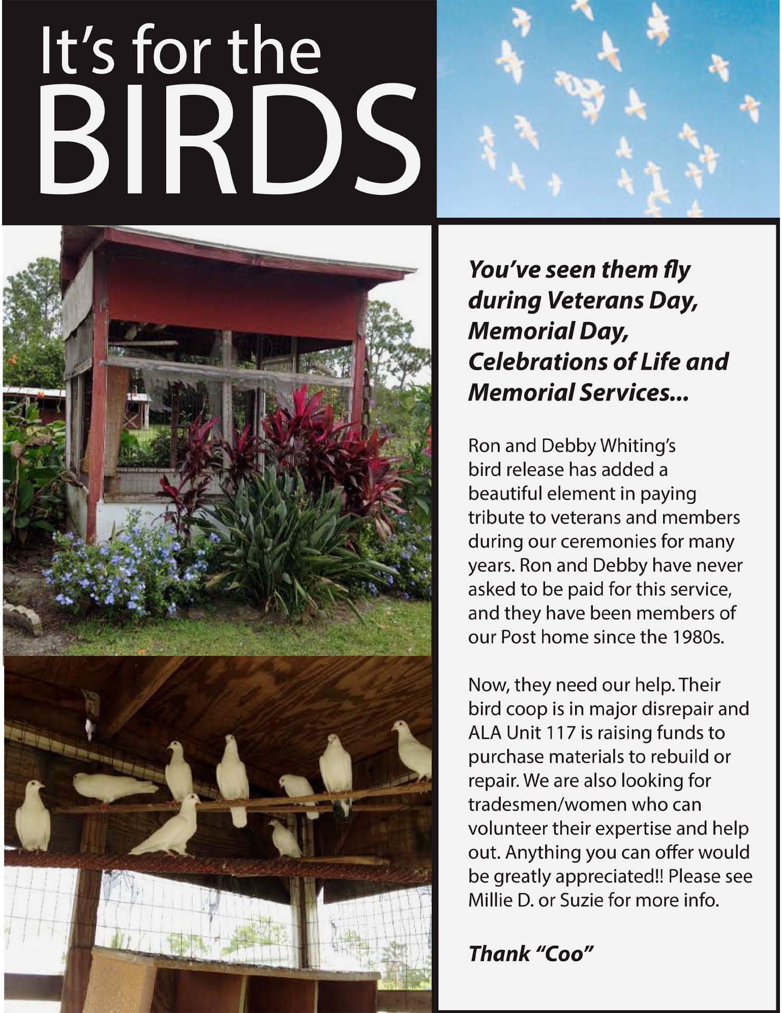 It's For The Birds